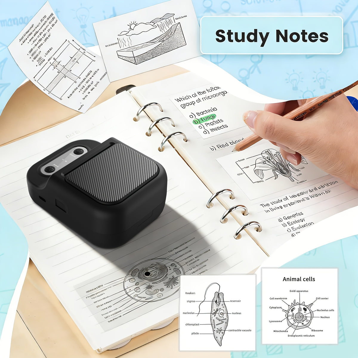 Portable Printer Mini Label Printer Self-adhesive Inkless 12-58mm Label Makers For Photo/Label/Home/Office/Business/Gifts As B21