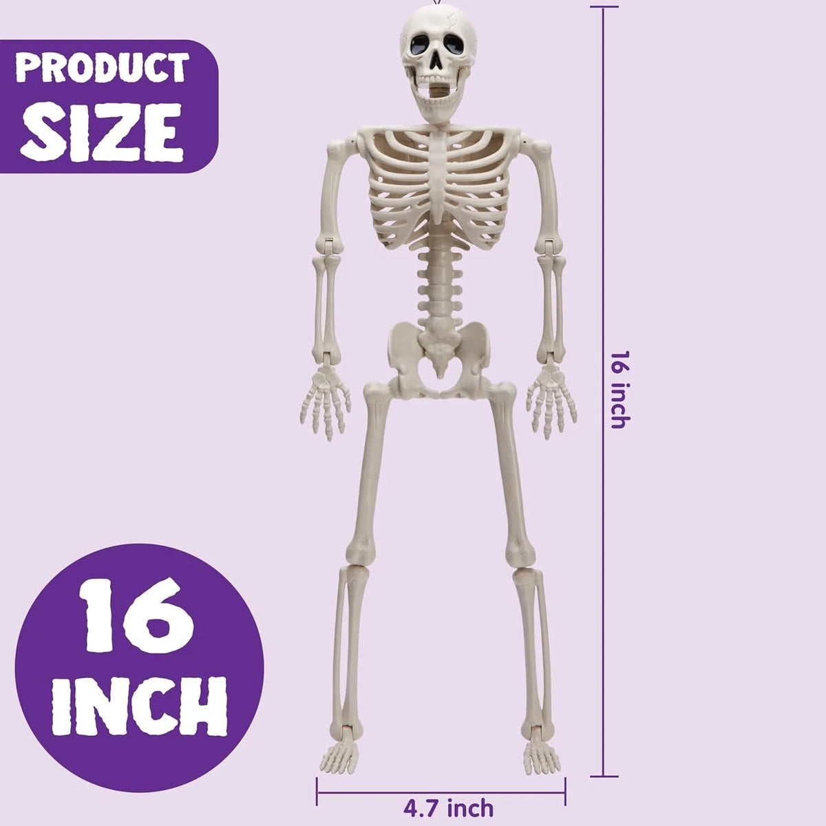 5pcs Halloween Skeleton Decorations, 16 inches, Photobooth Props for Party Events, full-body movable joints, for Halloween decoration, graveyard props, haunted house accessories, horror scenes, the best props for photography